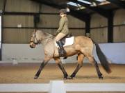 Image 88 in DRESSAGE AT BROADS EC. 18TH NOVEMBER 2018