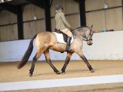 Image 89 in DRESSAGE AT BROADS EC. 18TH NOVEMBER 2018