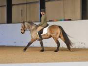 Image 90 in DRESSAGE AT BROADS EC. 18TH NOVEMBER 2018