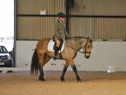 Image 92 in DRESSAGE AT BROADS EC. 18TH NOVEMBER 2018