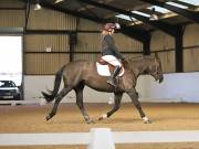 Image 97 in DRESSAGE AT BROADS EC. 18TH NOVEMBER 2018