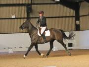 Image 99 in DRESSAGE AT BROADS EC. 18TH NOVEMBER 2018