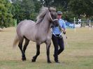 Image 10 in SOUTH NORFOLK PONY CLUB. 28 JULY 2018. FROM THE SHOWING CLASSES