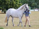 Image 12 in SOUTH NORFOLK PONY CLUB. 28 JULY 2018. FROM THE SHOWING CLASSES