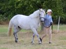 Image 13 in SOUTH NORFOLK PONY CLUB. 28 JULY 2018. FROM THE SHOWING CLASSES