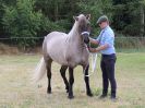 Image 14 in SOUTH NORFOLK PONY CLUB. 28 JULY 2018. FROM THE SHOWING CLASSES