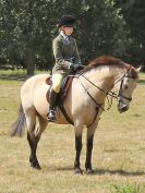 Image 142 in SOUTH NORFOLK PONY CLUB. 28 JULY 2018. FROM THE SHOWING CLASSES