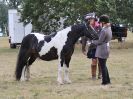 Image 15 in SOUTH NORFOLK PONY CLUB. 28 JULY 2018. FROM THE SHOWING CLASSES