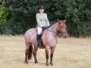 Image 18 in SOUTH NORFOLK PONY CLUB. 28 JULY 2018. FROM THE SHOWING CLASSES