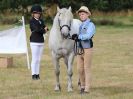 Image 2 in SOUTH NORFOLK PONY CLUB. 28 JULY 2018. FROM THE SHOWING CLASSES