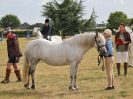 Image 23 in SOUTH NORFOLK PONY CLUB. 28 JULY 2018. FROM THE SHOWING CLASSES