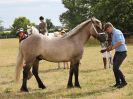 Image 24 in SOUTH NORFOLK PONY CLUB. 28 JULY 2018. FROM THE SHOWING CLASSES