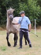 Image 25 in SOUTH NORFOLK PONY CLUB. 28 JULY 2018. FROM THE SHOWING CLASSES