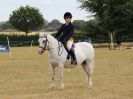 Image 26 in SOUTH NORFOLK PONY CLUB. 28 JULY 2018. FROM THE SHOWING CLASSES