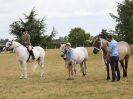 Image 27 in SOUTH NORFOLK PONY CLUB. 28 JULY 2018. FROM THE SHOWING CLASSES