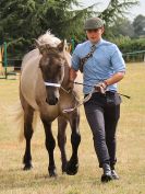 Image 29 in SOUTH NORFOLK PONY CLUB. 28 JULY 2018. FROM THE SHOWING CLASSES