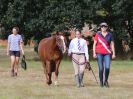 Image 3 in SOUTH NORFOLK PONY CLUB. 28 JULY 2018. FROM THE SHOWING CLASSES