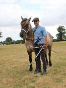 Image 31 in SOUTH NORFOLK PONY CLUB. 28 JULY 2018. FROM THE SHOWING CLASSES