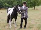 Image 32 in SOUTH NORFOLK PONY CLUB. 28 JULY 2018. FROM THE SHOWING CLASSES