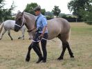 Image 36 in SOUTH NORFOLK PONY CLUB. 28 JULY 2018. FROM THE SHOWING CLASSES