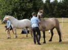 Image 4 in SOUTH NORFOLK PONY CLUB. 28 JULY 2018. FROM THE SHOWING CLASSES