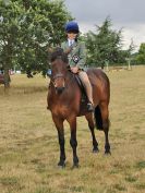 Image 41 in SOUTH NORFOLK PONY CLUB. 28 JULY 2018. FROM THE SHOWING CLASSES