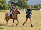 Image 48 in SOUTH NORFOLK PONY CLUB. 28 JULY 2018. FROM THE SHOWING CLASSES