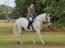 Image 5 in SOUTH NORFOLK PONY CLUB. 28 JULY 2018. FROM THE SHOWING CLASSES