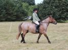 Image 55 in SOUTH NORFOLK PONY CLUB. 28 JULY 2018. FROM THE SHOWING CLASSES