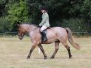 Image 56 in SOUTH NORFOLK PONY CLUB. 28 JULY 2018. FROM THE SHOWING CLASSES