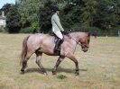 Image 57 in SOUTH NORFOLK PONY CLUB. 28 JULY 2018. FROM THE SHOWING CLASSES