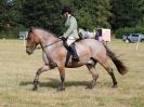 Image 58 in SOUTH NORFOLK PONY CLUB. 28 JULY 2018. FROM THE SHOWING CLASSES