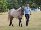 Image 6 in SOUTH NORFOLK PONY CLUB. 28 JULY 2018. FROM THE SHOWING CLASSES