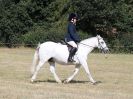 Image 61 in SOUTH NORFOLK PONY CLUB. 28 JULY 2018. FROM THE SHOWING CLASSES