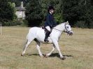 Image 62 in SOUTH NORFOLK PONY CLUB. 28 JULY 2018. FROM THE SHOWING CLASSES