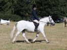 Image 63 in SOUTH NORFOLK PONY CLUB. 28 JULY 2018. FROM THE SHOWING CLASSES