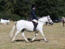Image 63 in SOUTH NORFOLK PONY CLUB. 28 JULY 2018. FROM THE SHOWING CLASSES