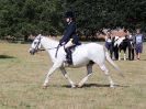 Image 64 in SOUTH NORFOLK PONY CLUB. 28 JULY 2018. FROM THE SHOWING CLASSES