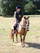 Image 68 in SOUTH NORFOLK PONY CLUB. 28 JULY 2018. FROM THE SHOWING CLASSES