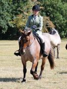 Image 69 in SOUTH NORFOLK PONY CLUB. 28 JULY 2018. FROM THE SHOWING CLASSES