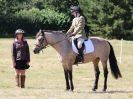 Image 71 in SOUTH NORFOLK PONY CLUB. 28 JULY 2018. FROM THE SHOWING CLASSES