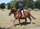 Image 72 in SOUTH NORFOLK PONY CLUB. 28 JULY 2018. FROM THE SHOWING CLASSES