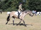 Image 73 in SOUTH NORFOLK PONY CLUB. 28 JULY 2018. FROM THE SHOWING CLASSES