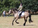 Image 74 in SOUTH NORFOLK PONY CLUB. 28 JULY 2018. FROM THE SHOWING CLASSES