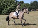 Image 75 in SOUTH NORFOLK PONY CLUB. 28 JULY 2018. FROM THE SHOWING CLASSES