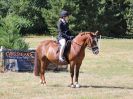Image 76 in SOUTH NORFOLK PONY CLUB. 28 JULY 2018. FROM THE SHOWING CLASSES