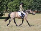 Image 77 in SOUTH NORFOLK PONY CLUB. 28 JULY 2018. FROM THE SHOWING CLASSES