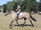 Image 78 in SOUTH NORFOLK PONY CLUB. 28 JULY 2018. FROM THE SHOWING CLASSES