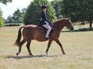 Image 80 in SOUTH NORFOLK PONY CLUB. 28 JULY 2018. FROM THE SHOWING CLASSES