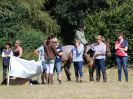 Image 81 in SOUTH NORFOLK PONY CLUB. 28 JULY 2018. FROM THE SHOWING CLASSES